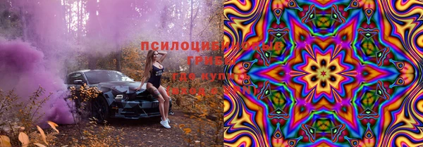 мет Осинники