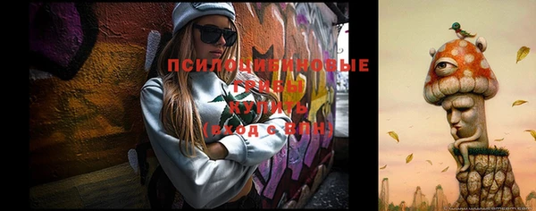 герыч Осташков